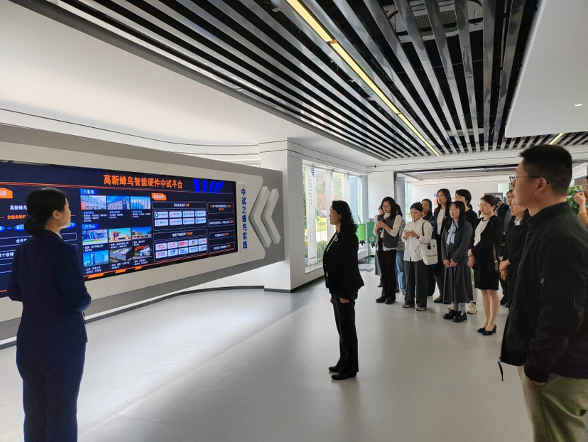 成都高新區(qū)“新思享”企業(yè)沙龍 打造信息技術(shù)服務(wù)產(chǎn)業(yè)生態(tài)新高地